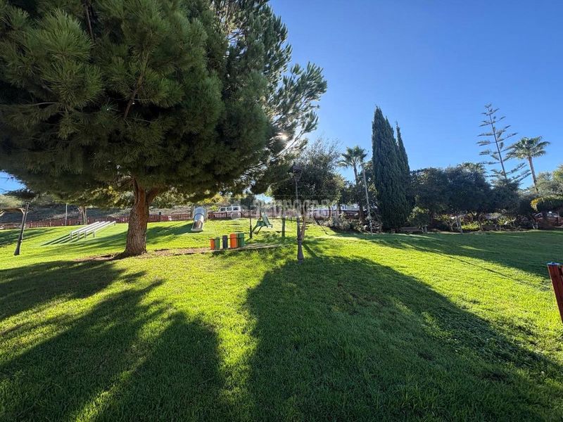 Foto d9c7be4c-69bb-48e4-b8a3-1cd2b66be129. Terreny residencial a Casares pueblo Casares