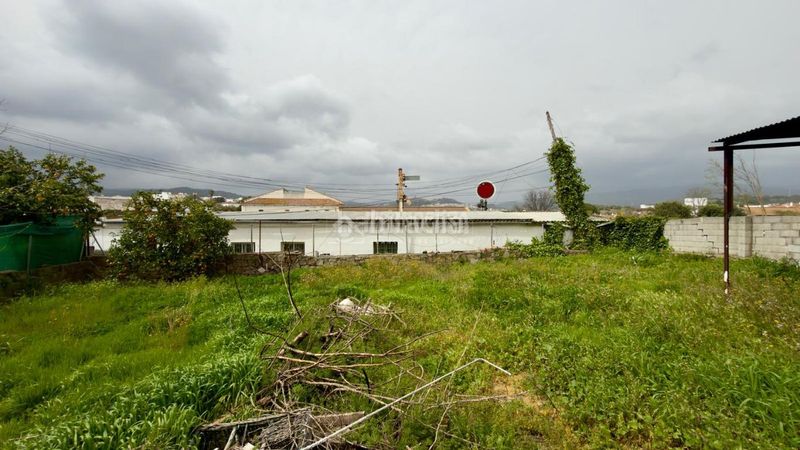Foto 4510b8b4-98f5-4c4f-bff9-e53badafe152. Terreny residencial a Jimena de la Frontera