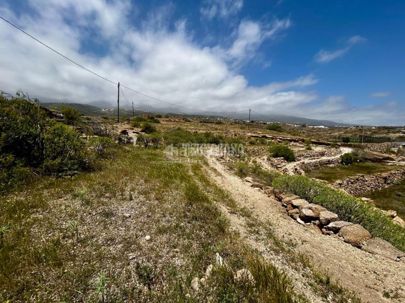 Foto 2839cee7-b82b-4f76-8052-f5b3fb2b00a3. Finca rústica a Fasnia