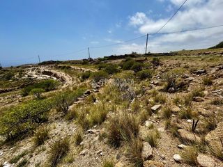 Finca rústica a Fasnia. Terrenos en venta en fasnia