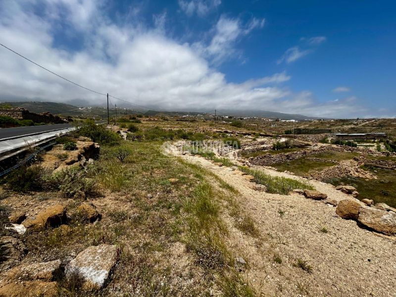 Foto 34328c29-ddc9-4b6b-aa0d-68e3dbfef852. Finca rústica a Fasnia