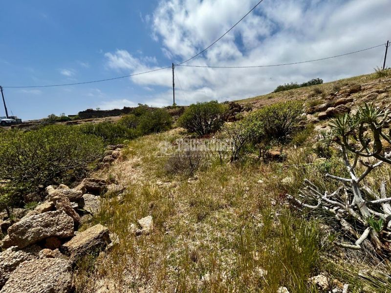 Foto 5fa05249-0088-4f9c-a06a-a2bf9ccd221d. Finca rústica a Fasnia