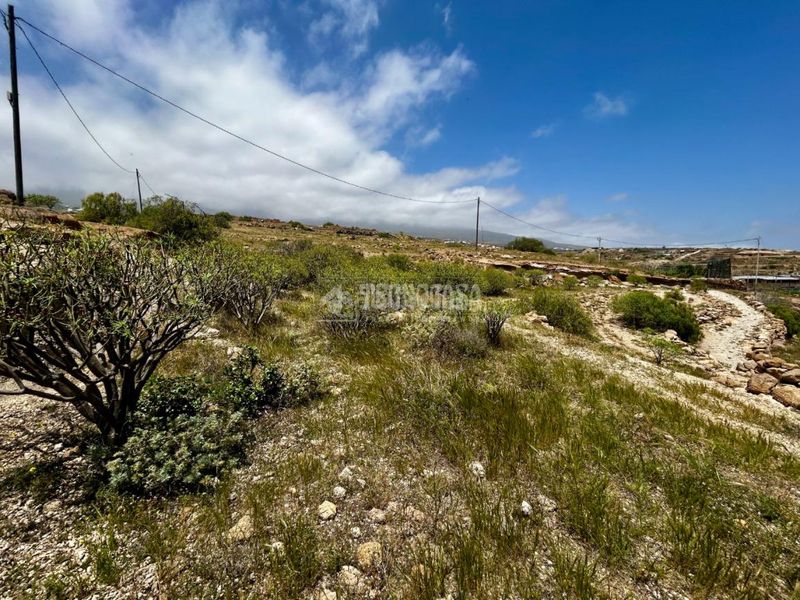 Foto 6c4be290-14ff-496b-85c7-9f22e7539b82. Finca rústica a Fasnia