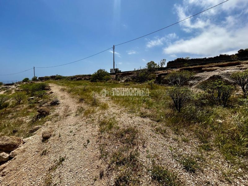 Foto 71b7e43d-2e24-404b-bddc-bb3cc7024376. Finca rústica a Fasnia