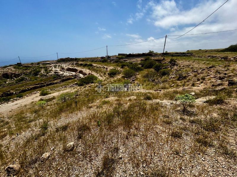 Foto 92b41a54-542f-4fa9-a465-66a033c2b397. Finca rústica a Fasnia