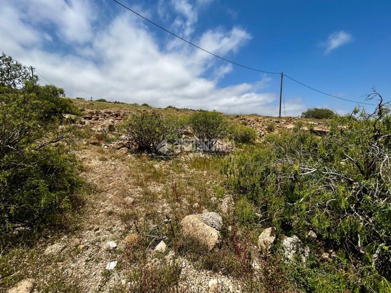 Foto cbb9faf4-3a50-440c-9405-d2c4bc0a80ff. Finca rústica a Fasnia