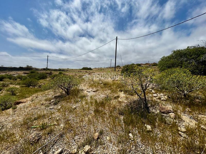 Foto df4e97ee-a4f3-40c9-ba47-c1767304b900. Finca rústica a Fasnia