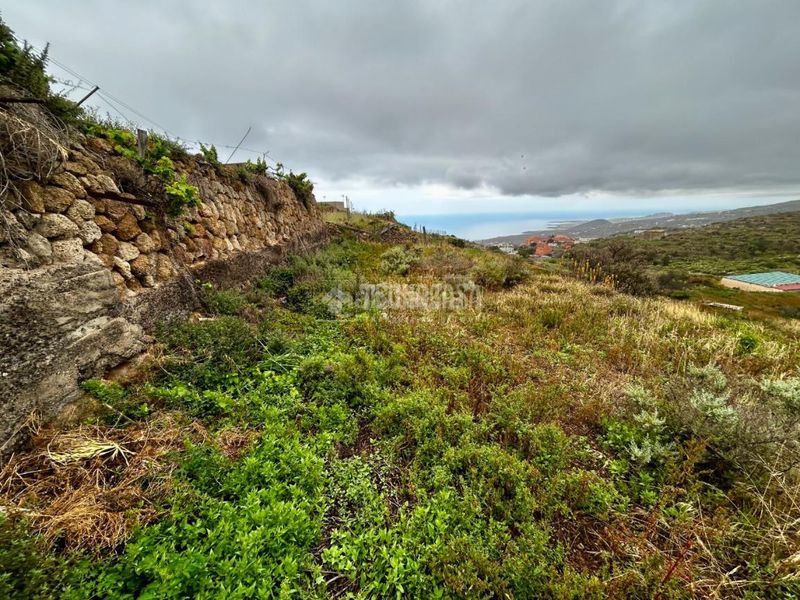 Foto e1065e61-65f1-467f-a553-93042559c768. Casa aparellada a El Escobonal - Pájara Güímar