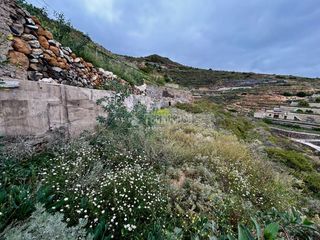 Landgut in Centro. Terrenos en venta en güímar
