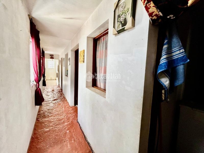Foto d197ebda-1eff-4574-aa96-6f959dcf54e8. Maison dans Centro Güímar