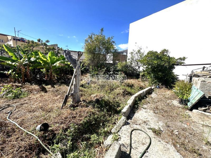Foto 31f65d28-286e-4f23-835a-11e97d5204aa. Casa  en venta en gímar en Centro Güímar