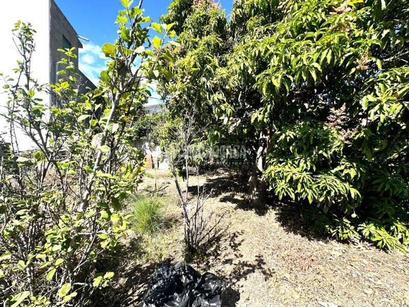 Foto 548b775f-b3d3-4784-ac87-42822737941d. Casa  en venta en gímar en Centro Güímar