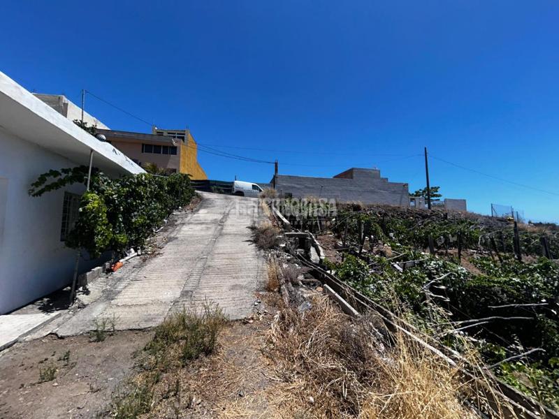 Foto 3f1140e2-97e8-4f1d-8af2-c1122c0b4538. Masía casa rural en venta en gímar en Centro Güímar