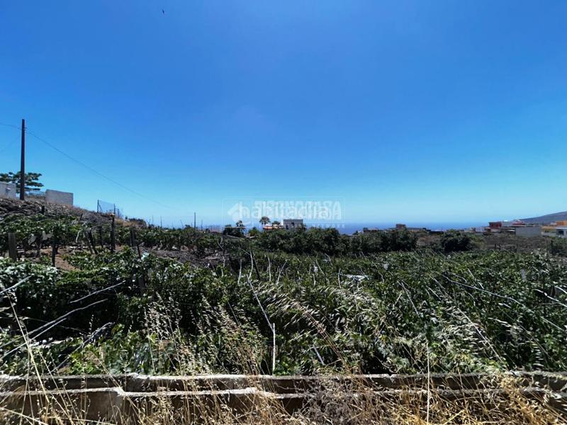 Foto 7c22f8c8-f9d5-4723-8fe5-6cede2691580. Masía casa rural en venta en gímar en Centro Güímar