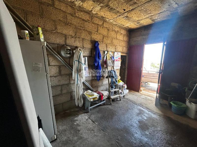 Foto 8d86db44-3f60-42d8-be26-4d8c348b86eb. Masía casa rural en venta en gímar en Centro Güímar