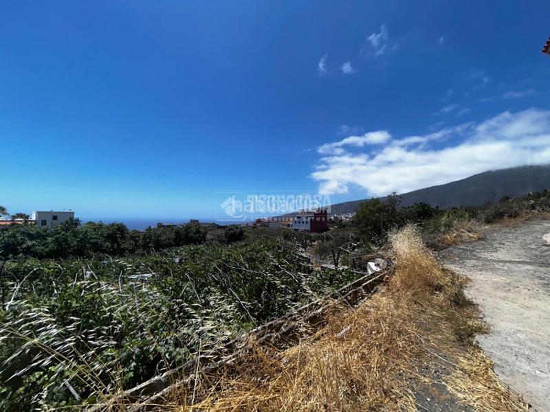Foto dd781314-a147-45a0-8a66-f77f1760ee7a. Masía casa rural en venta en gímar en Centro Güímar
