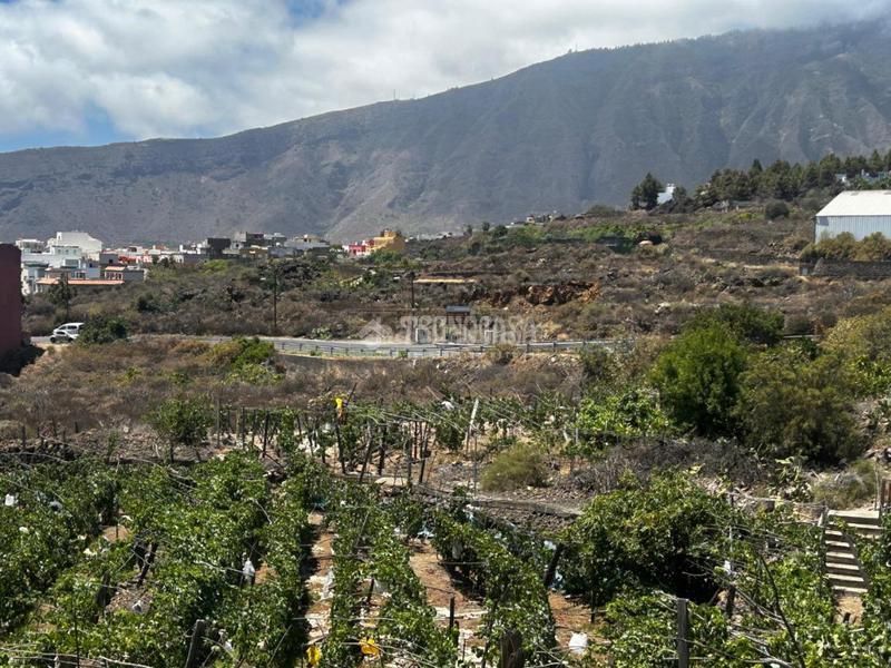 Foto e37618fb-054f-4593-b73c-9c1eaa853ee0. Masía casa rural en venta en gímar en Centro Güímar