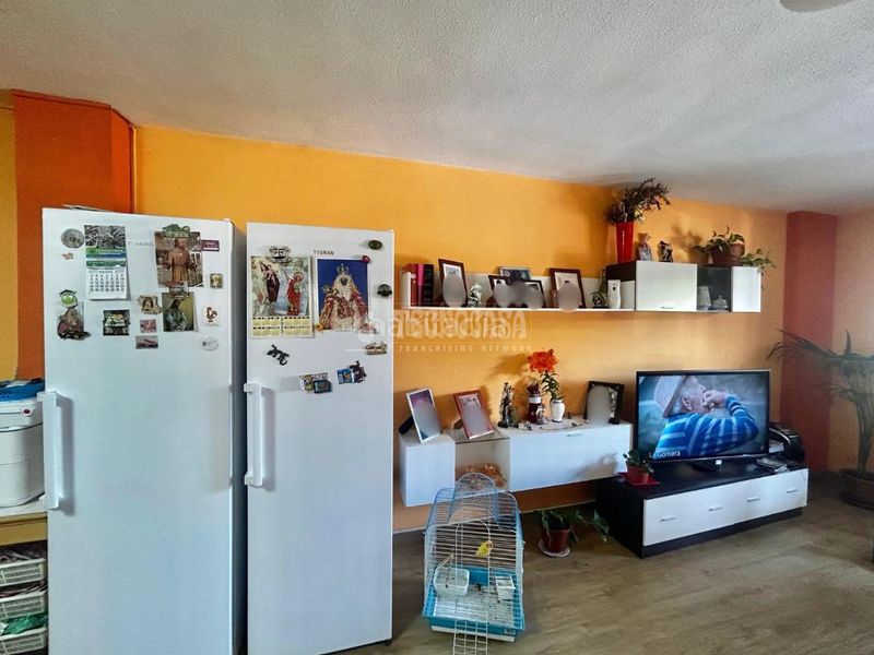 Foto 1f3ec130-b9d2-47e4-951a-ae752ea9fda5. Pis a puertito de Güímar Güímar