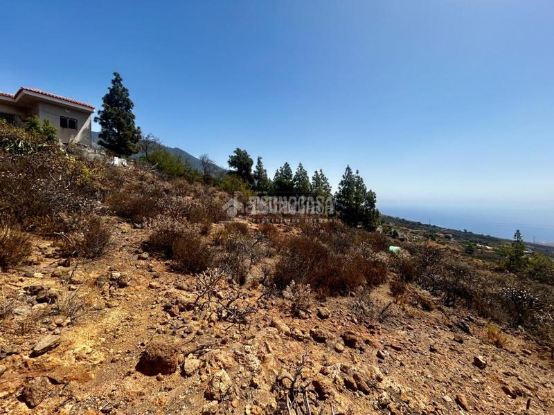 Foto 5da5c106-a0c8-480b-a717-546e58e1809c. Finca rústica a Centro Güímar
