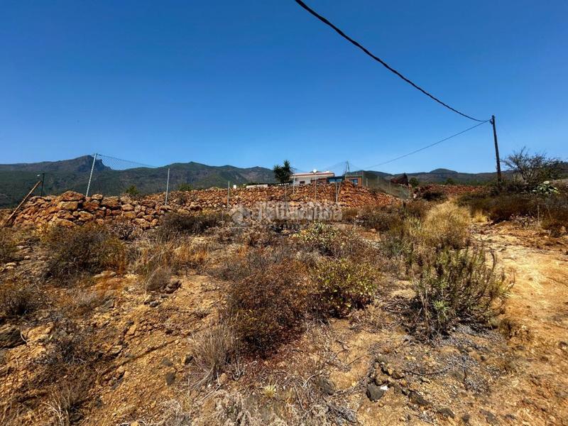 Foto 6442e999-8d1a-4c87-b0c1-dca835d05ed4. Finca rústica a Centro Güímar