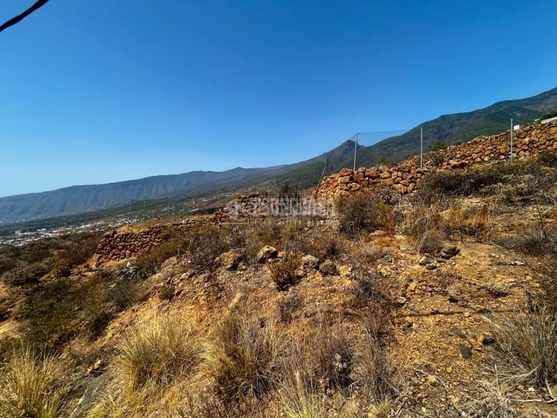 Foto 979969aa-1886-4a5d-868b-1e97e36da835. Finca rústica a Centro Güímar