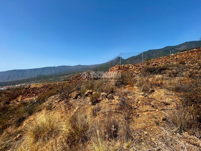Foto ade83b3c-fb42-44a1-bfd6-5839b8b7d877. Finca rústica a Centro Güímar