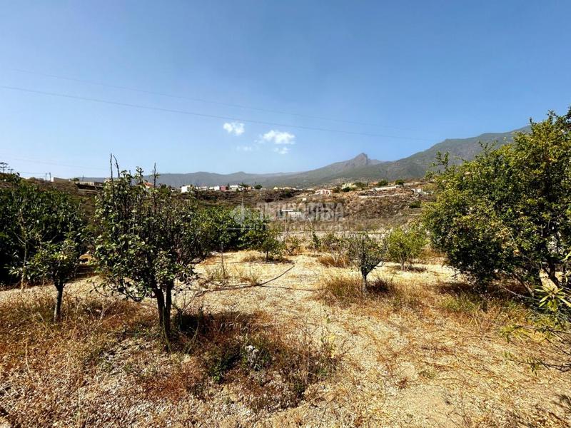 Foto 7d4997d9-9beb-4c9f-8b3b-4d400d50710a. Casa  en venta en Arafo