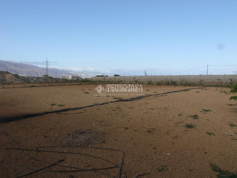 Foto 9e8a5860-1df0-4484-9bf8-8b0e92cfb847. Mas dans puertito de Güímar Güímar