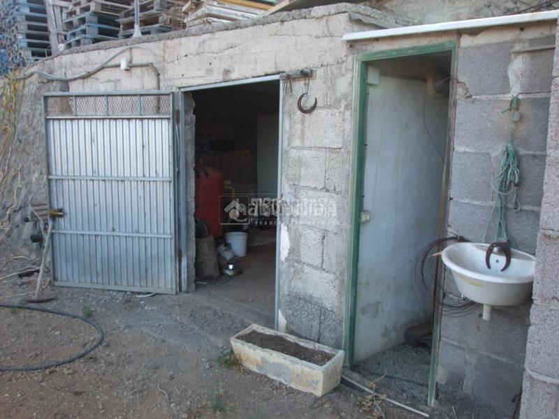 Foto c2aa7dde-0b50-422d-8d52-09c69e0bcf85. Mas dans puertito de Güímar Güímar