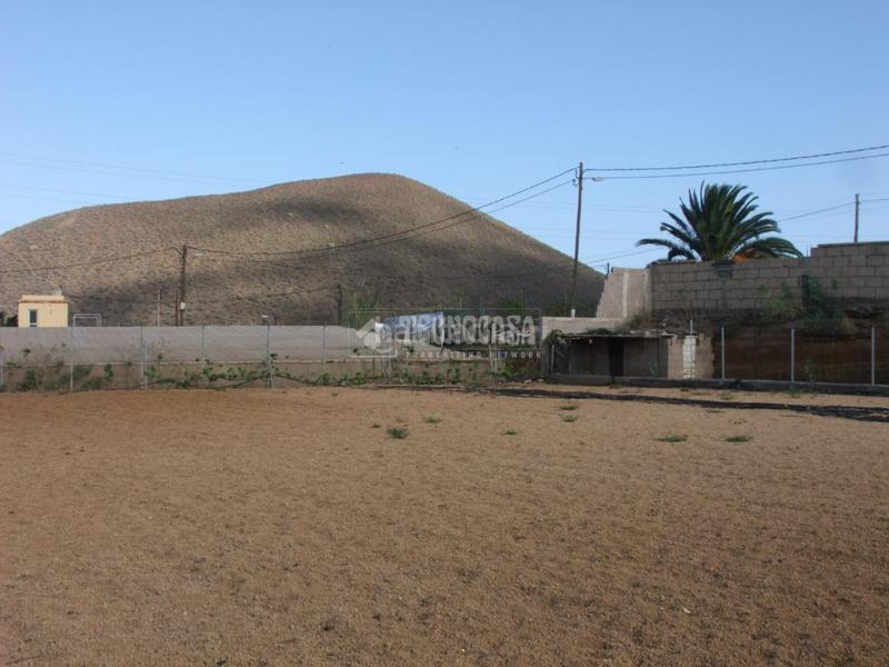 Foto c67d94cc-540b-4187-9f65-3e48297a6775. Mas dans puertito de Güímar Güímar