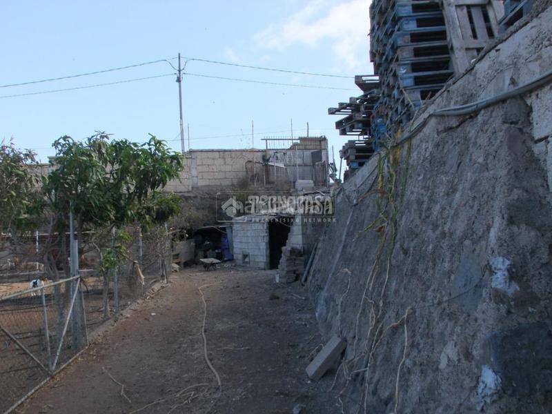 Foto fbc80a7c-840b-4120-8547-25f8d5467603. Mas dans puertito de Güímar Güímar