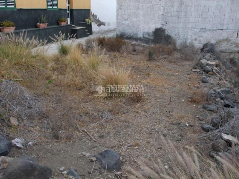 Foto 509766d4-424f-441a-b934-7bad541a53c8. Mas dans El Escobonal - Pájara Güímar