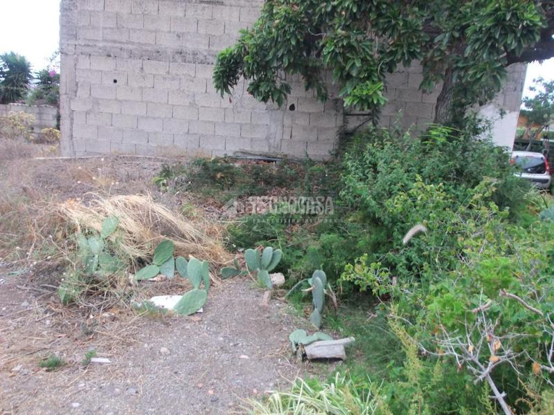 Foto 509e97b9-d4b1-4b6a-8d71-a34d5b23ba4e. Mas dans El Escobonal - Pájara Güímar