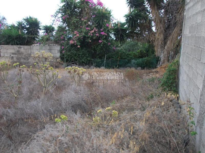 Foto 634fe193-9328-4174-9eb1-c0f6d08c5bf3. Mas dans El Escobonal - Pájara Güímar
