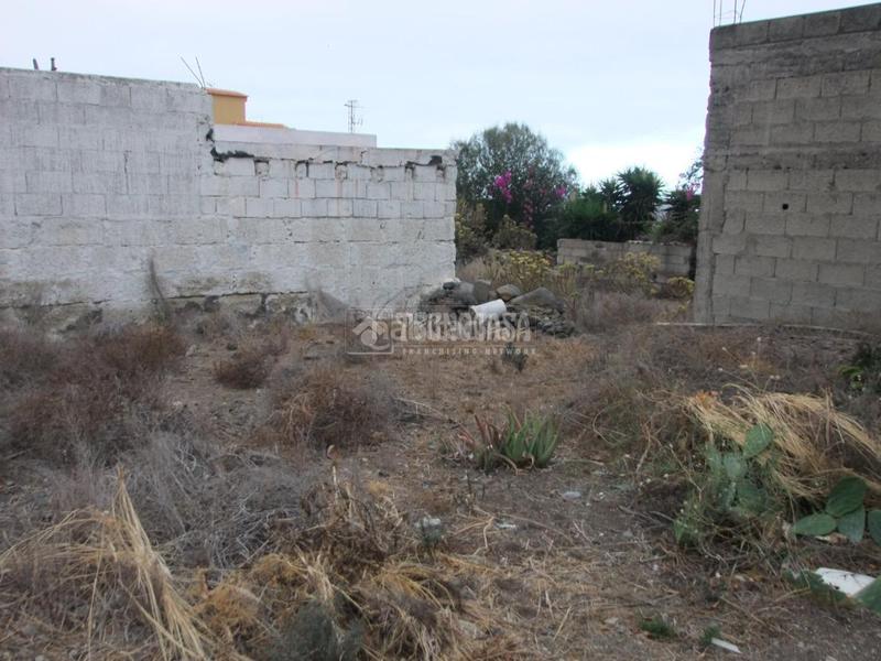 Foto 87b76d72-2368-481a-bf27-898f2a2b9b67. Mas dans El Escobonal - Pájara Güímar