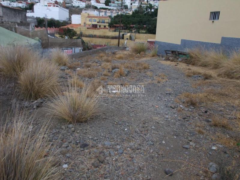 Foto 9a346ca9-6c41-427e-a01a-84c362fa563a. Mas dans El Escobonal - Pájara Güímar