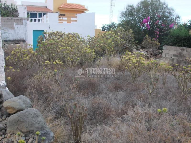 Foto c19aee93-b0e5-4052-8546-b8181dc24b71. Mas dans El Escobonal - Pájara Güímar