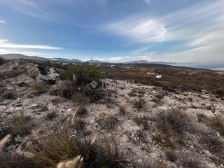 Finca rústica en Santa Úrsula Pueblo. Terrenos en venta en gímar Finca rústica en Santa Úrsula Pueblo. Terrenos en venta en gímar