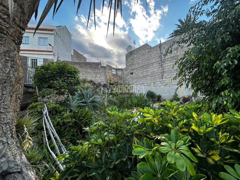 Foto 9bb4ee09-c953-4b81-809f-a243ffdf5ea9. Masía casa rural en venta en gímar en Centro Güímar