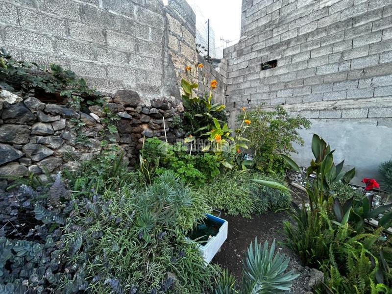 Foto ab3d115c-89ed-4014-be42-ebdff6b29885. Masía casa rural en venta en gímar en Centro Güímar