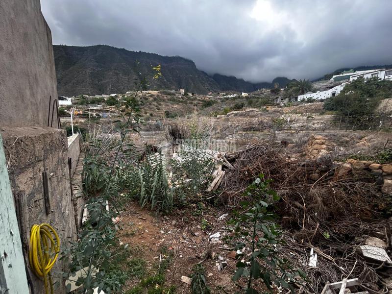 Foto b5644572-0500-4023-9a19-de6a8792dd8d. Casa  en venta en gímar en Centro Güímar