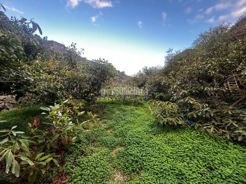 Foto 30a9d931-7fb5-4fa6-98ba-2c4fcfe2ab12. Casa  en venta en gímar en Centro Güímar