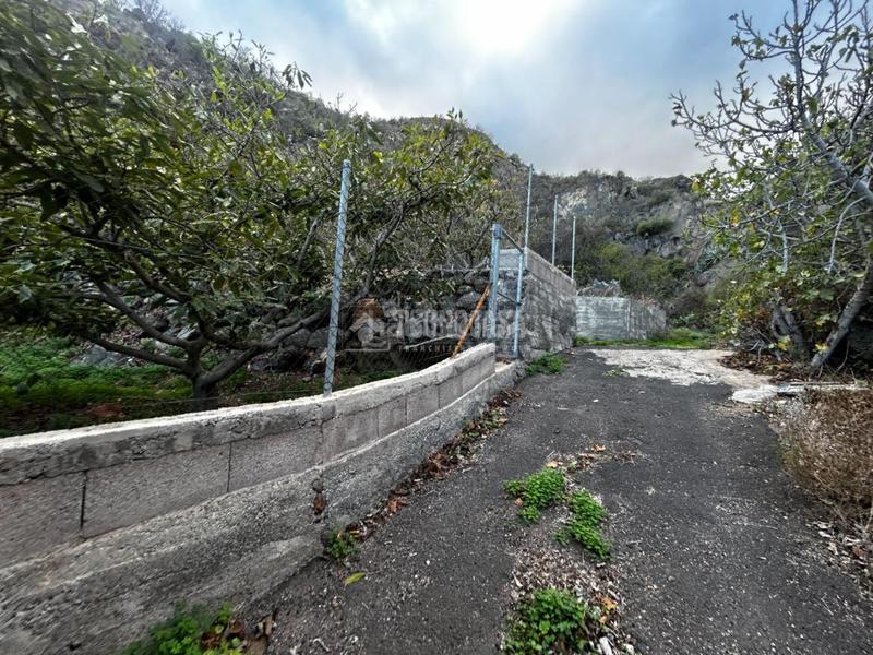 Foto dc78a00d-2d7d-4596-9a6e-2c3d48467f29. Casa  en venta en gímar en Centro Güímar