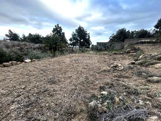 Landgut in Arafo. Terrenos en venta en arafo