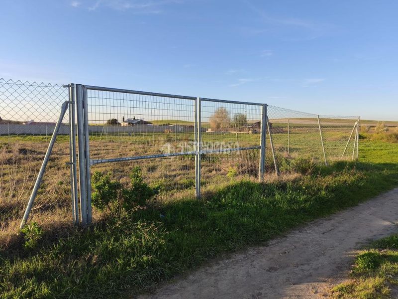 Foto 0b4f34c6-ccd5-4539-bd98-0a55cbe96c45. Finca rústica a Cuatro Pinos - El Carmen Puerto de Santa María (El)