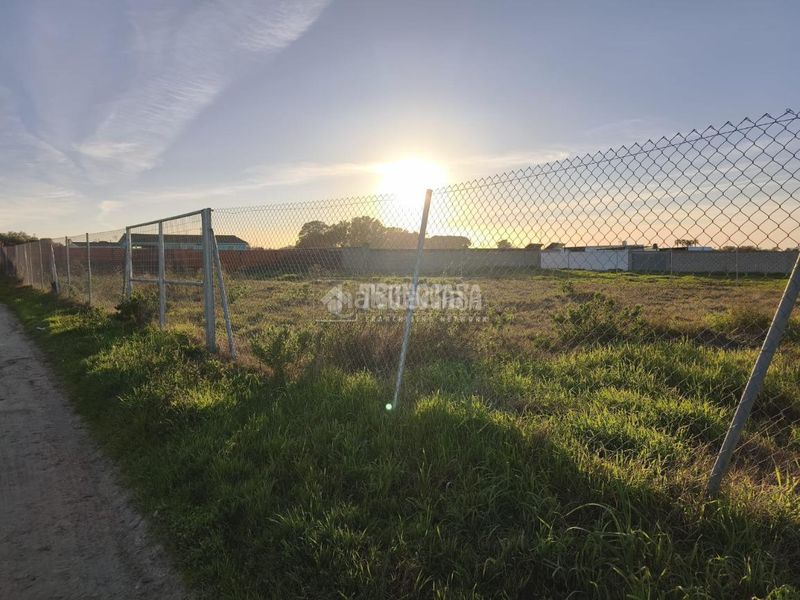 Foto a4667758-d41a-4117-91ee-0cd7643bbdf0. Finca rústica a Cuatro Pinos - El Carmen Puerto de Santa María (El)