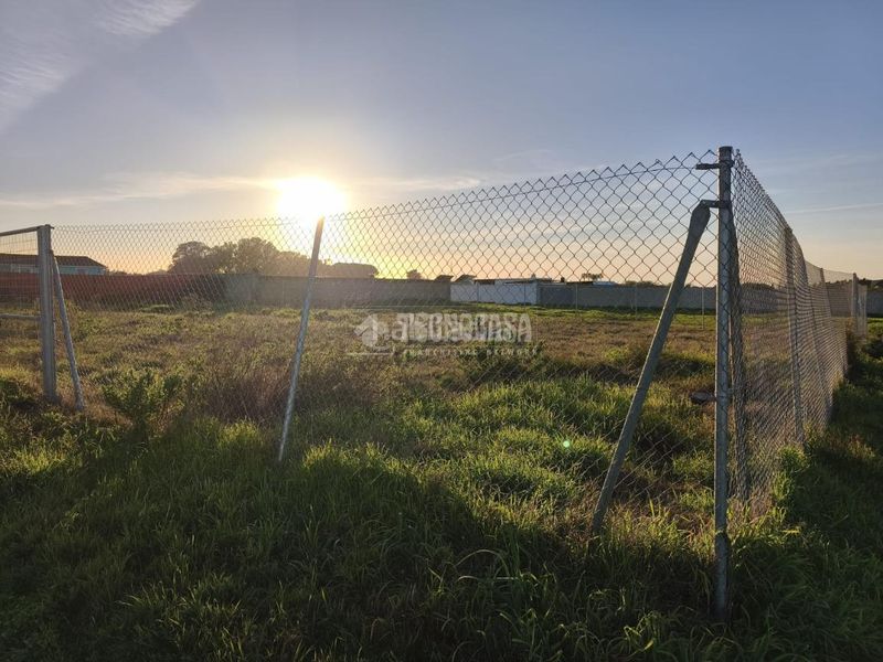Foto e14a19f1-55a8-4ce8-ba1d-2bb0d494a991. Finca rústica a Cuatro Pinos - El Carmen Puerto de Santa María (El)