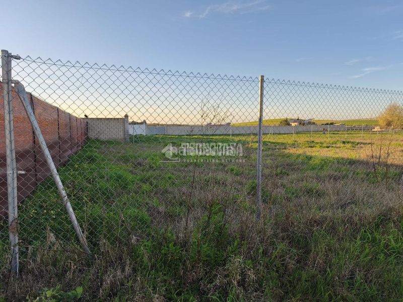 Foto eb6bd3dd-aaa2-4982-9b62-2230341d2f86. Finca rústica a Cuatro Pinos - El Carmen Puerto de Santa María (El)