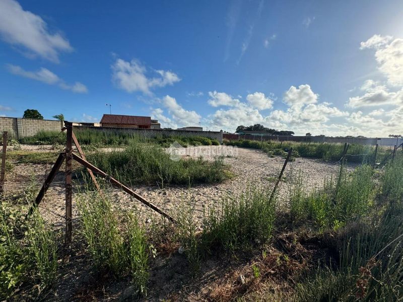 Foto 25bf0cbc-51fa-43e5-b9cf-edfa4a7ae42a. Finca rústica a Cuatro Pinos - El Carmen Puerto de Santa María (El)