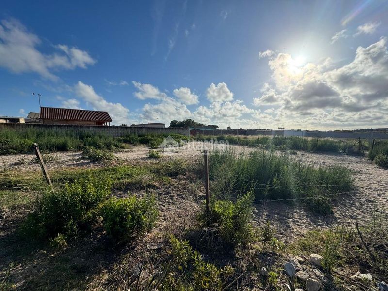 Foto bdb870a4-da1a-4032-8807-6d1ba013d6a0. Finca rústica a Cuatro Pinos - El Carmen Puerto de Santa María (El)